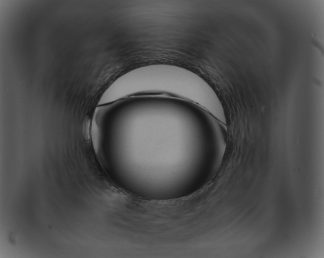 X0000092310041200710051246