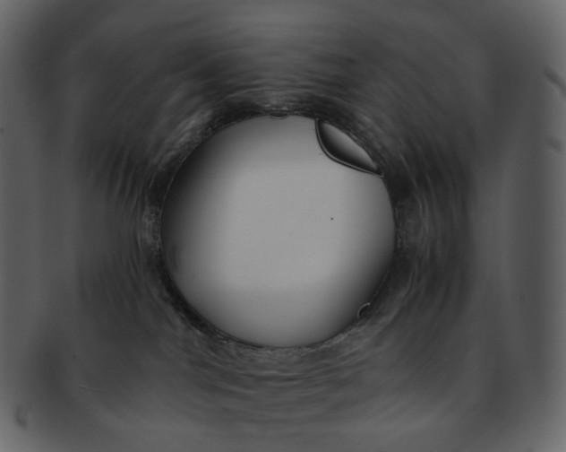 X0000092310044200710051246