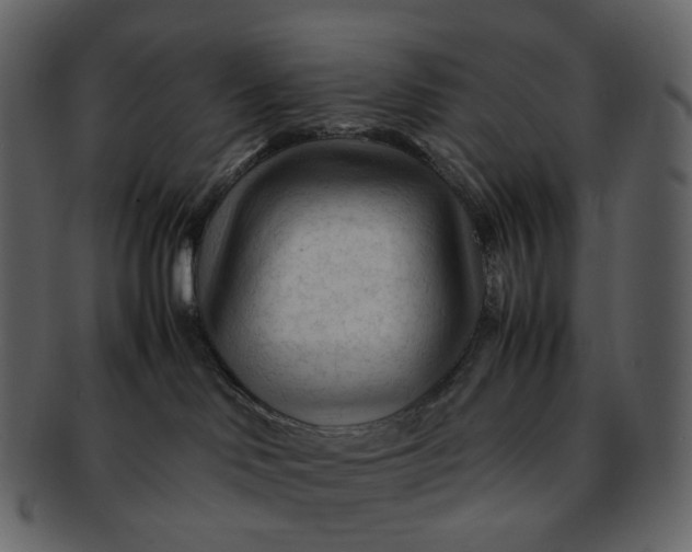 X0000092310046200710051246