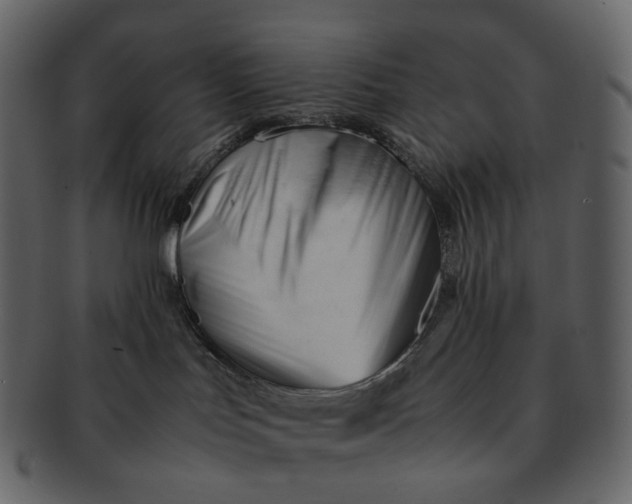 X0000092310047200710051246