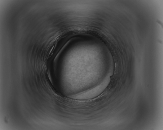 X0000092310048200710051246
