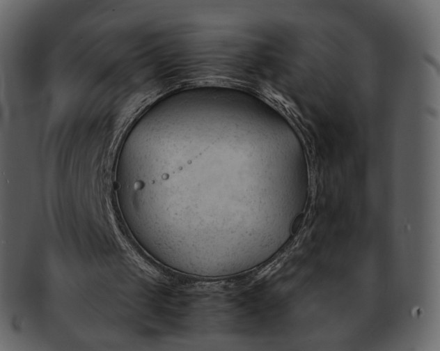 X0000092310049200710051246