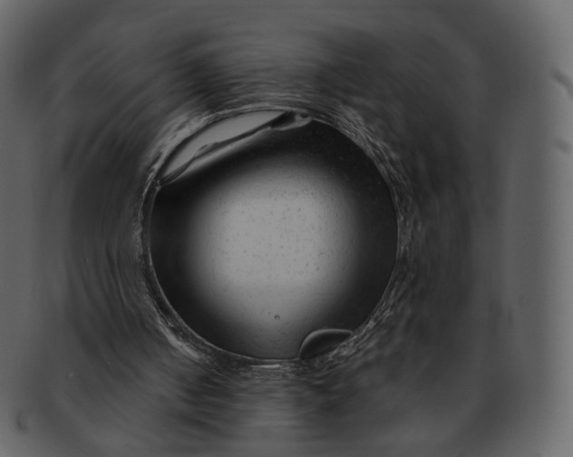 X0000092310050200710051246