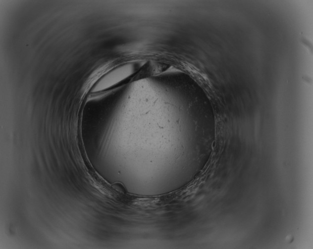 X0000092310051200710051246