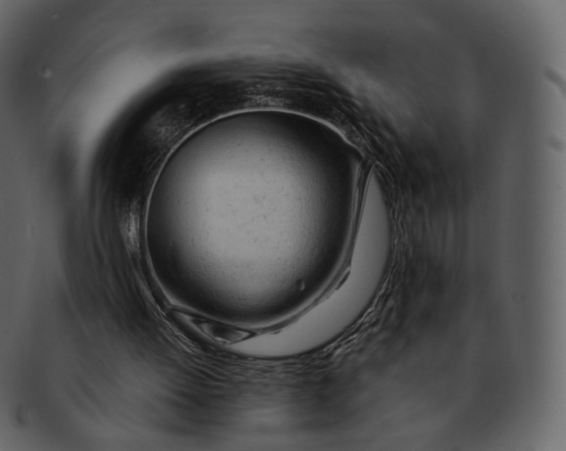 X0000092310052200710051246