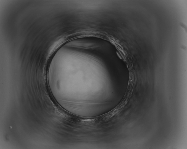 X0000092310053200710051246