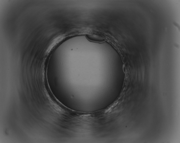 X0000092310054200710051246