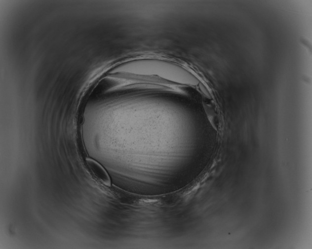X0000092310055200710051246