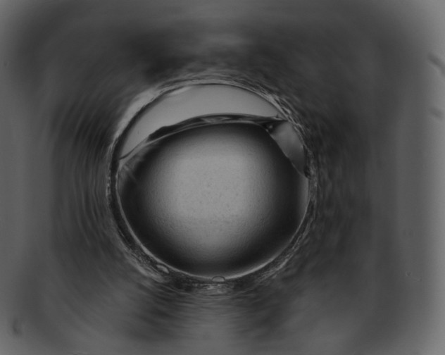 X0000092310056200710051246