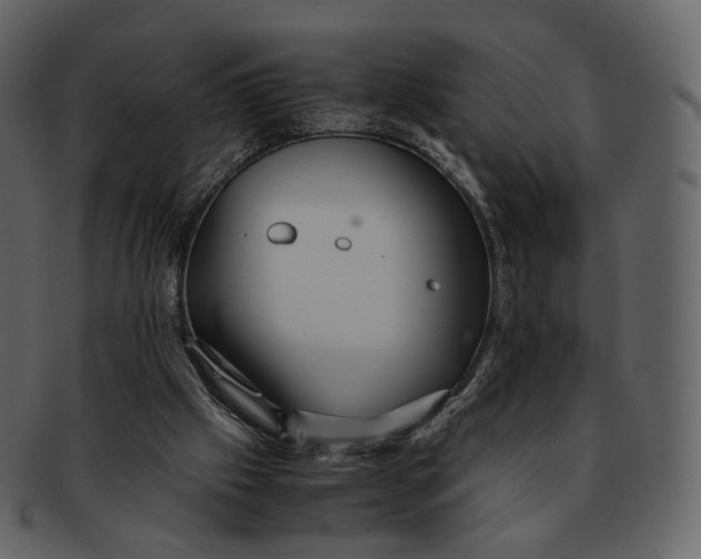 X0000092310057200710051246