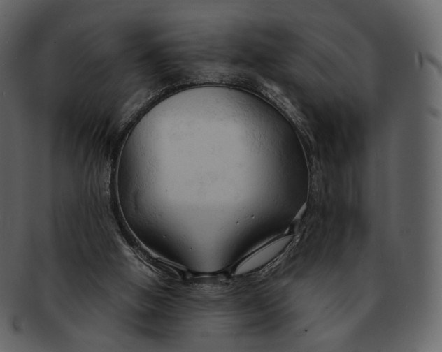 X0000092310058200710051246