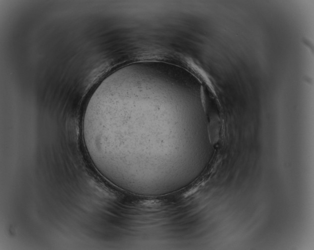 X0000092310059200710051246
