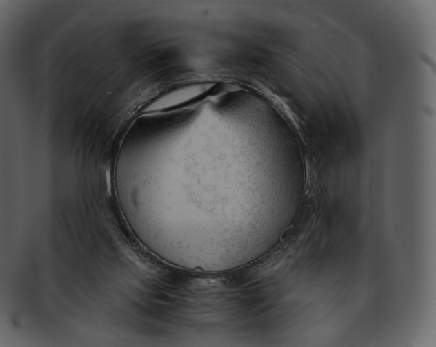 X0000092310061200710051246