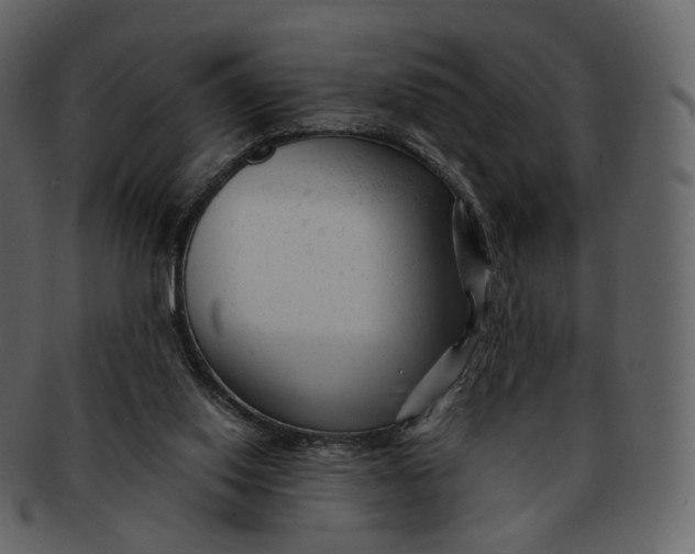 X0000092310062200710051246