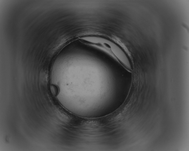 X0000092310063200710051246