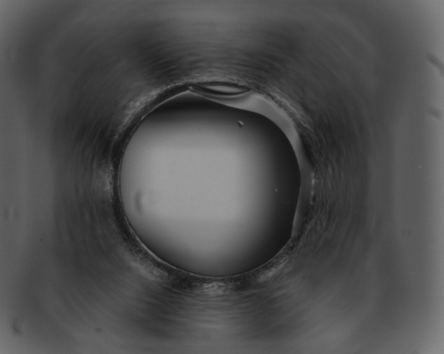 X0000092310064200710051246