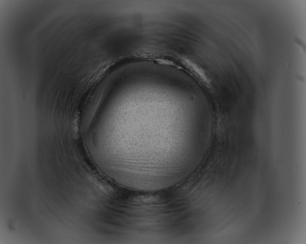 X0000092310065200710051246