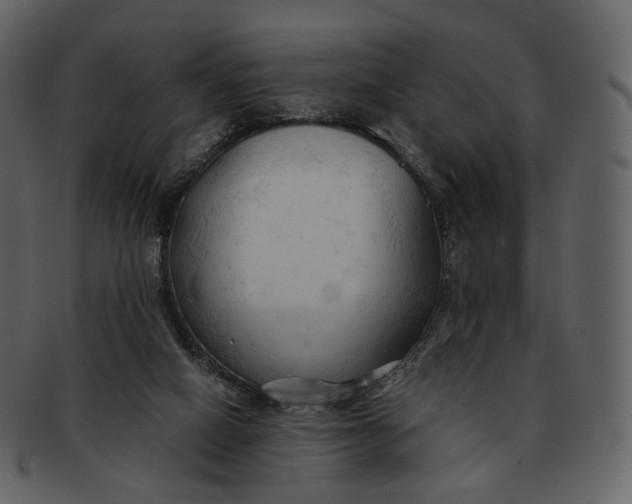 X0000092310066200710051246