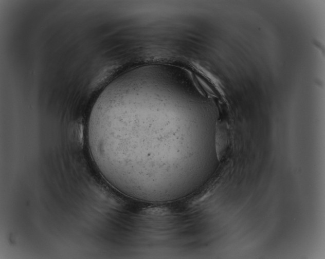 X0000092310067200710051246