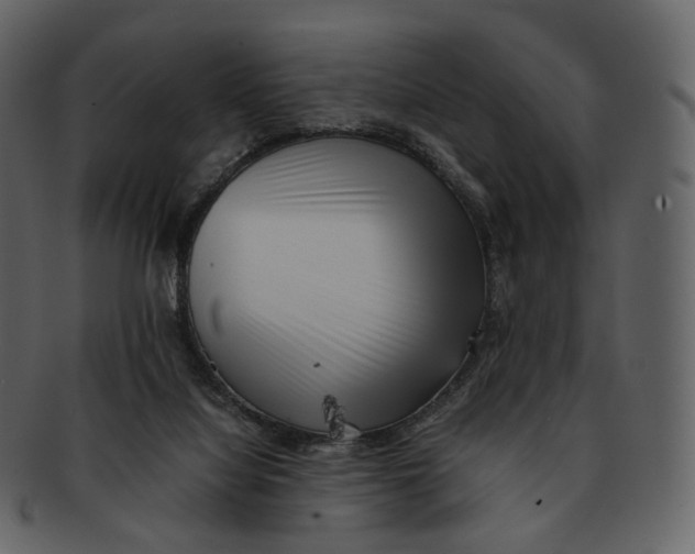 X0000092310068200710051246