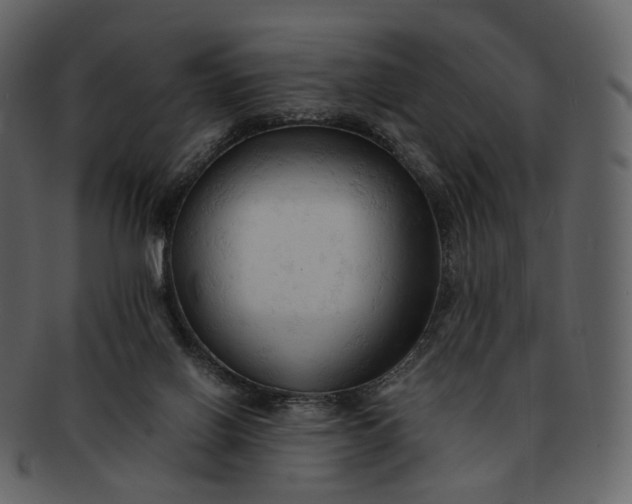 X0000092310070200710051246