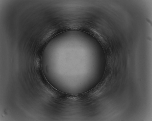 X0000092310071200710051246