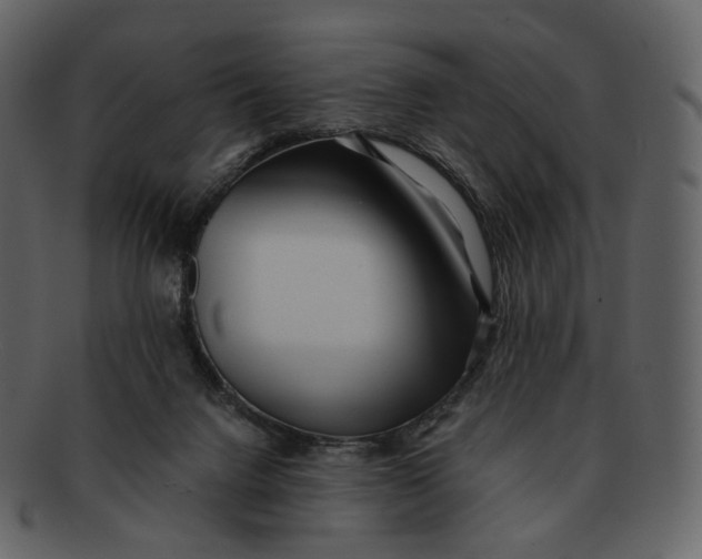 X0000092310072200710051246