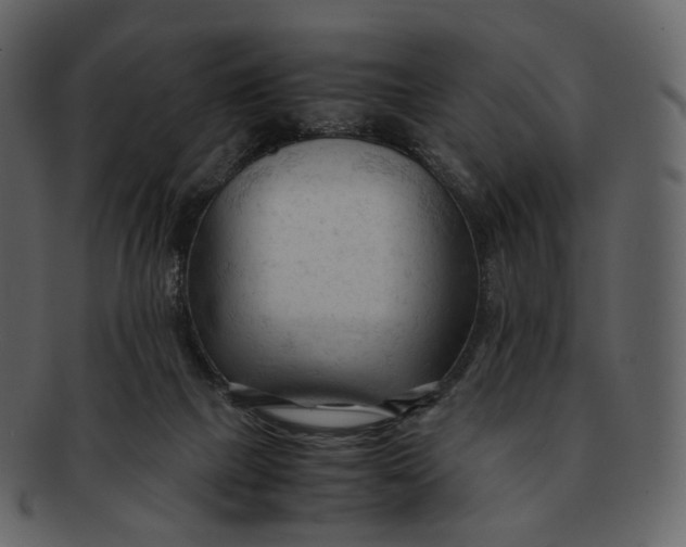 X0000092310073200710051246