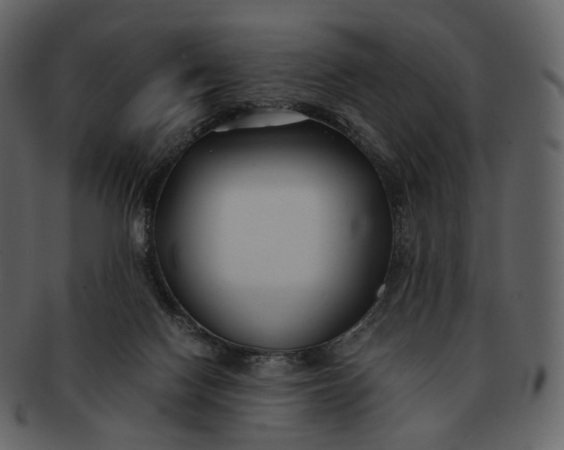 X0000092310074200710051246