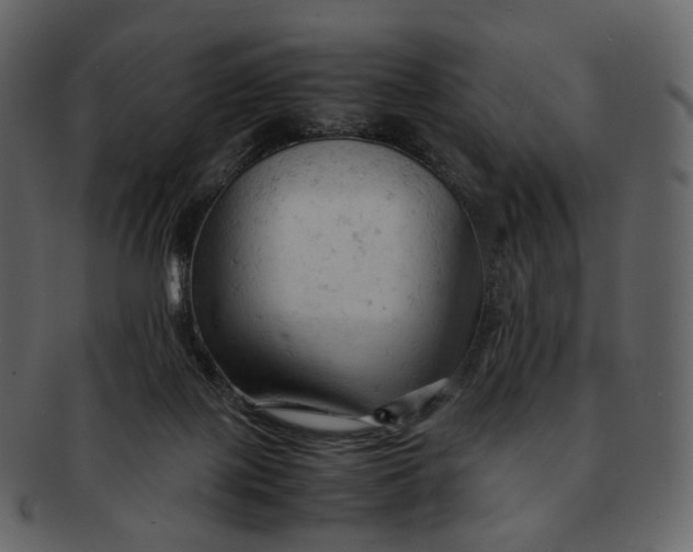 X0000092310075200710051246