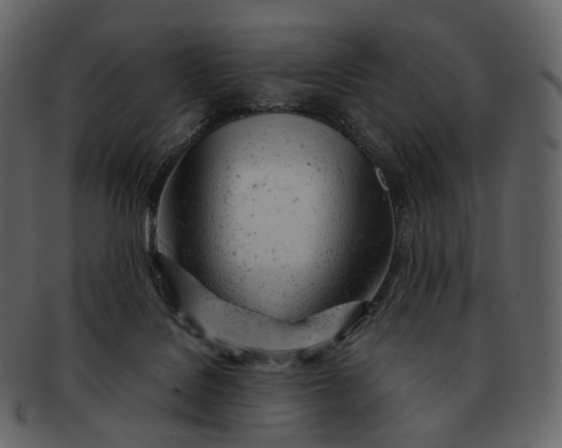 X0000092310076200710051246