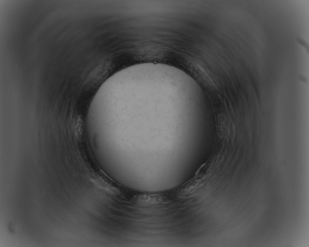 X0000092310077200710051246