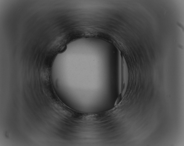 X0000092310078200710051246