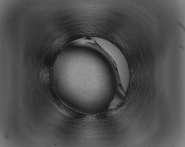 X0000092310080200710051246