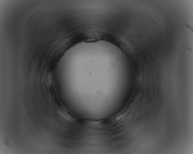 X0000092310081200710051246