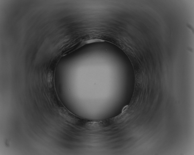 X0000092310082200710051246