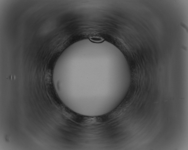 X0000092310083200710051246