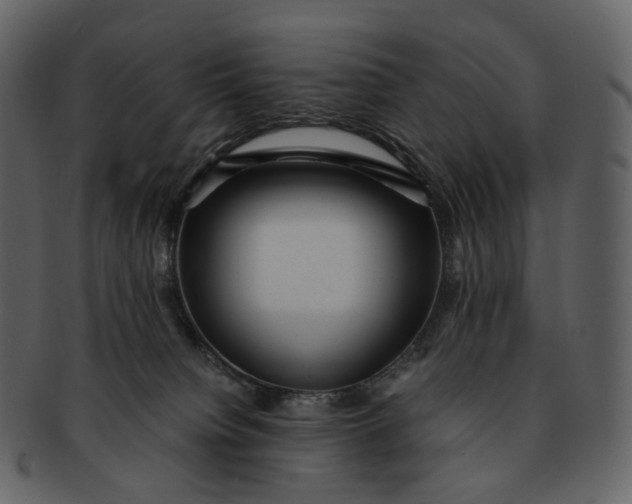 X0000092310084200710051246