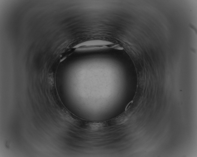 X0000092310085200710051246