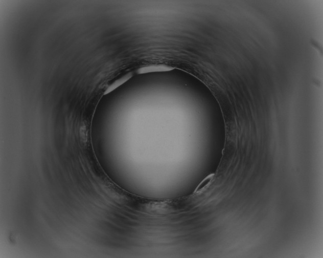 X0000092310086200710051246