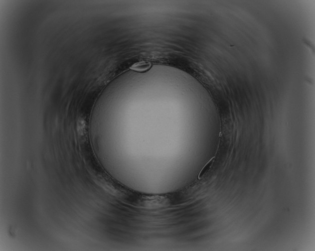 X0000092310087200710051246