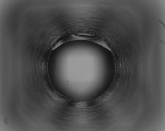 X0000092310088200710051246