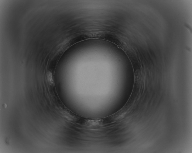 X0000092310089200710051246
