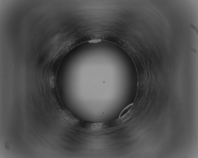 X0000092310090200710051246