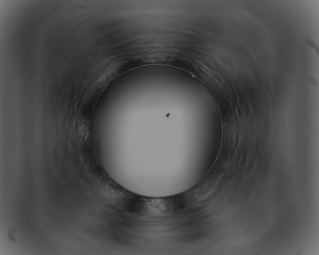 X0000092310091200710051246