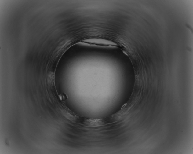 X0000092310093200710051246