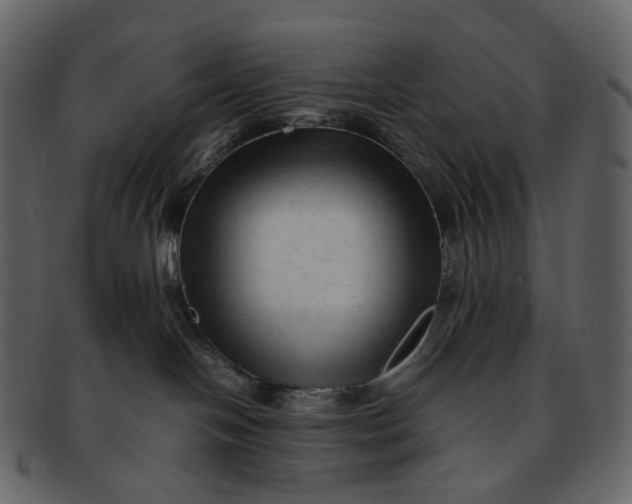 X0000092310094200710051246