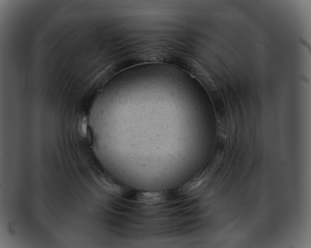 X0000092310095200710051246