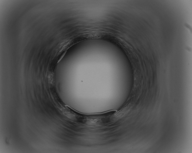 X0000092310096200710051246