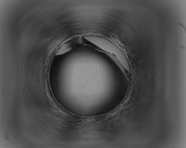 X0000092310097200710051246
